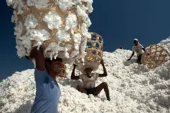 બોટાદમાં કડદા વ્યવસ્થા સામે આપના આંદોલનની કપાસના ભાવ પર શું અસર પડી છે?