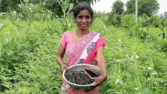 शेतातून काढलेलं धान्य दाखवताना आनंद झालेली महिला शेतकरी
