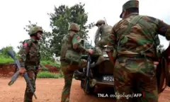 TNLA