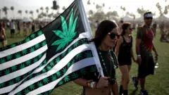 Woman at Coachella festival carries US flag re-designed with cannabis leaves instead of stars on the design