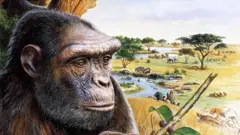 Ilustración de Sahelanthropus tchadensis
