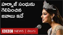 మిస్ యూనివర్స్