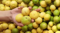 લીંબુના ભાવમાં વધારો