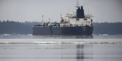 Un gran petrolero navega en aguas tranquilas, con una costa boscosa al fondo y placas de hielo visibles en la superficie del mar
