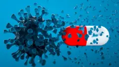 الفطر الأسود فيها،