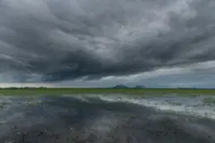 ગુજરાતમાં ચોમાસું 