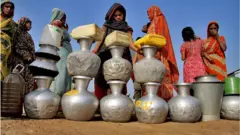 পানি