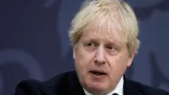 johnson