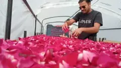 कपिल जैन