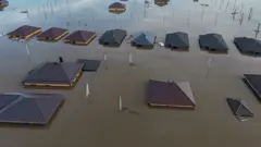 затопленные дома