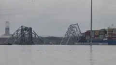 বাল্টিমোর সেতু