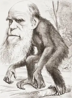 Darwin dalam kartun di majalah Hornet, yang bertuliskan "Orangutan Yang Terhormat - Kontribusi pada Sejarah yang Tidak Alami."