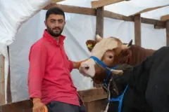 Kurban pazarında bir besici