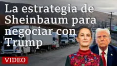 La estrategia de Sheinbau, para negociar con Trump