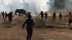 ஜார்க்கண்ட், ஒற்றை யானை