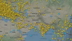 flight