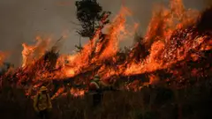 Incêndio na Floresta Amazônicawww esporte 365Apuí, no Amazonas