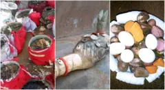 Akụrụngwa ndị e ji eme omenala