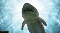 إعادة تشكيل فني لصورة البرمائي المكتشف