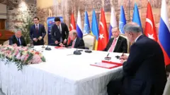 Tahıl koridoru anlaşması