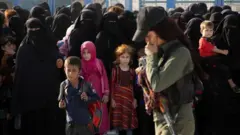 el hol kampı