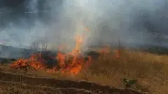 حریق