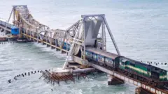 प्रातिनिधीक फोटो 