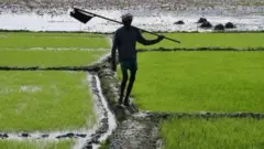 బడ్జెట్ 2021