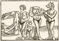 A imagem mostra uma gravura antiga em preto e branco retratando seres fantásticos com características híbridas entre humanos e animais. Entre as figuras aparecem uma criatura com cabeça de cão, outra com rosto no tronco, uma pessoa sem cabeça e outra com duas cabeças, além de um homem contorcido à esquerda. A ilustração remete às representações medievais de povos considerados "monstruosos", comuns em relatos de viajantes e bestiários da época.
