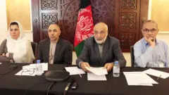 پلاوی