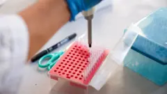 Вирустар мутацияланып, өзгөрүп турат