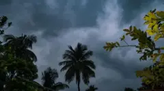 હવામાન