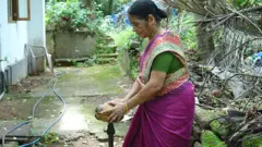 కొబ్బరి ఒలుపు