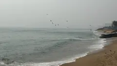 ఆంధ్రప్రదేశ్, తీరప్రాంతం