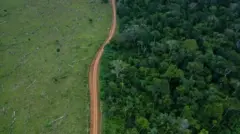 Imagem aéreabet7k indique e ganhefloresta desmatada com estrada no meio