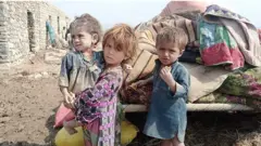 په پاکستان کې د بارانو او سیلابونو له امله لسګونه کسان وژل شوي چې ډېری يې په بلوچستان ایالت کې دي.