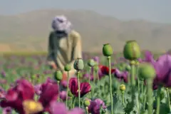 ارشیف تصویر