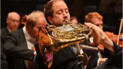Horn player