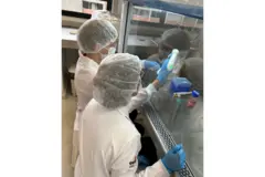 Cientistas trabalhando no Laboratório de Zootecnia Celular da UFPR