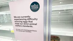 uma prateleira vazia com aviso