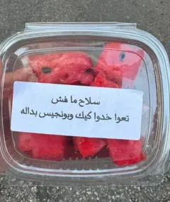  صور متداولة لبطيخ وكاسترد تحمل شعارات سياسية... بين السخرية والرمزية، النقاش مستمر.
