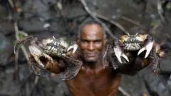 ਬ੍ਰਾਜ਼ੀਲ ਵਿੱਚ ਮੱਛੀ ਤੇ ਕੇਕੜੇ ਫੜਣਾ ਕਿਉਂ ਹੈ ਖ਼ਾਸ