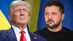 Коллаж: Дональд Трамп і Володимир Зеленський