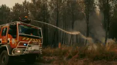 Vatrogasci gase požar