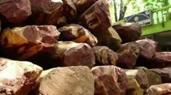 लाल चंदन