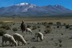 Paisaje del altiplano boliviano.
