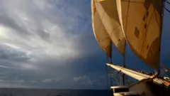 As velas de proa do Avontuur, infladas pelo vento, em dia de sol