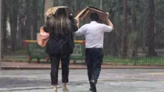 Pessoas correndo da chuva com papelão na cabeça