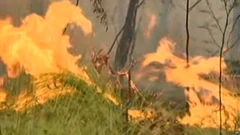 Climate Change