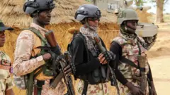 L'armée nigériane accuse ACF d'avoir nourrit et soigné des djihadistes